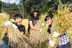 平成29年10月15日号表紙