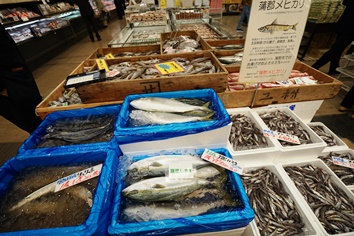 産直市場にて、新鮮な魚が並んでいました。