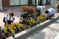 市内道路の植樹ますに花を植栽している写真