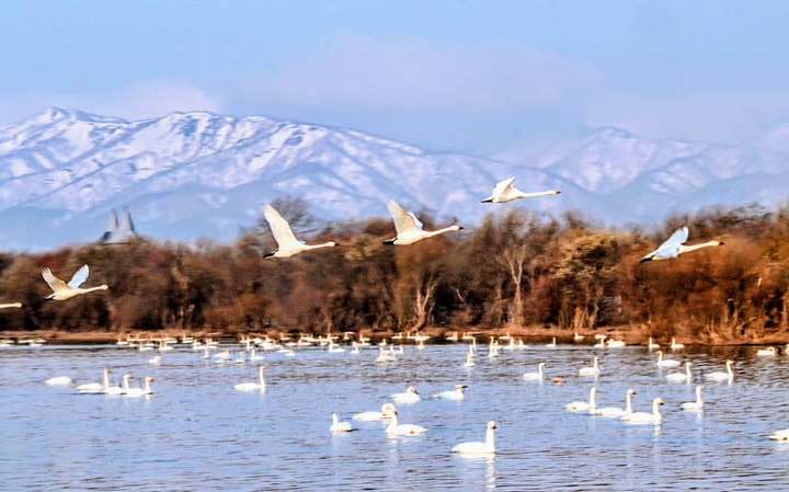 オアシスパークから北へ