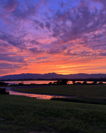 紫陽（しよう）