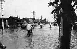 昭和37年に起きた大水害の様子