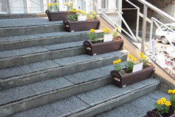 階段右側には黄色い花が並んでいます
