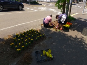 もっと花いっぱい運動