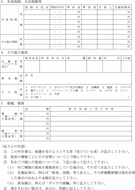 様式第１３号