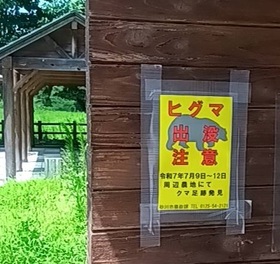 ヒグマ注意報