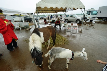 奥芝商店の馬とヤギ