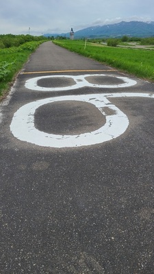 道路にはこんな数字が