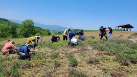黒瀬ラベンダー園再生事業(砂川ラベンダー保存会)第2弾