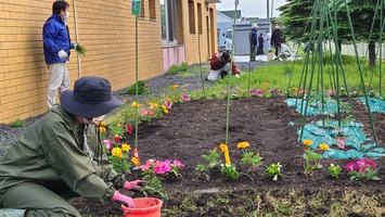 花壇周りの作業の様子