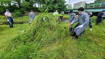 大量の草が集まりました