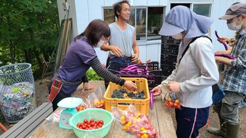 終了後にいただいたナスとミニトマト