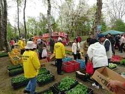 緑と花の祭典風景