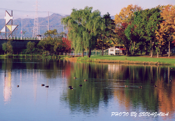 錦秋の北光公園