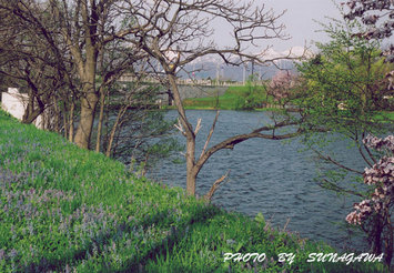 井上写真館賞 「早春の北光公園」小関 正子氏