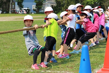 北光小学校　紅白綱引き