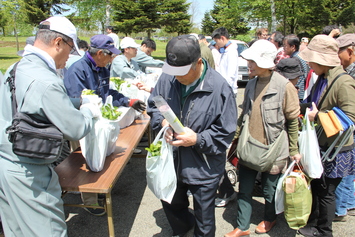 花の苗配布