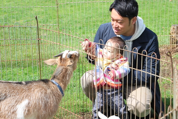 子どもの国フェス