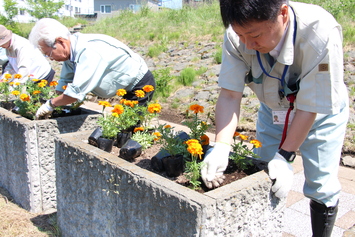 植栽会2