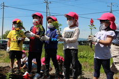 植え方を教えてもらいました