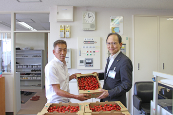 砂川ミニトマト部会 会長 関尾様